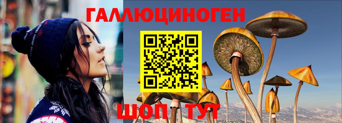 Псилоцибиновые грибы мухоморы Жигулёвск