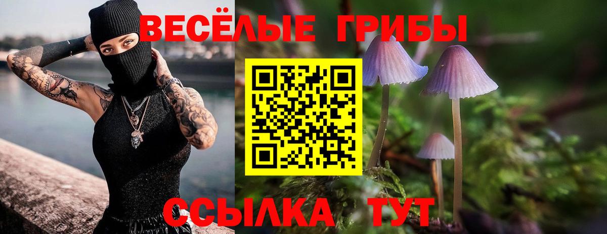 Псилоцибиновые грибы GOLDEN TEACHER  Вход с VPN  Псилоцибиновые грибы мицелий  Жигулёвск 